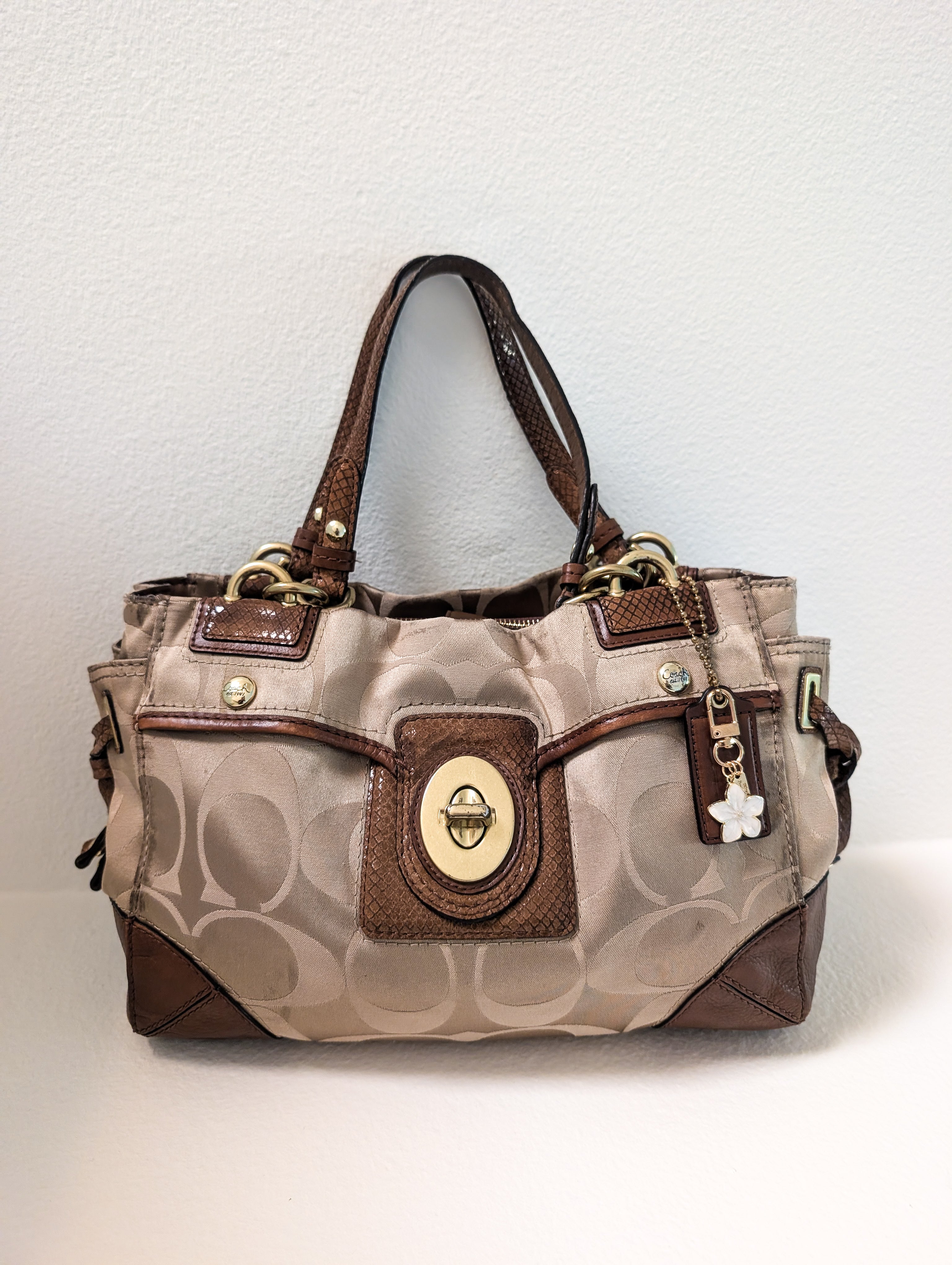 Coach Peyton Signature Sateen Carryall Tote Bag